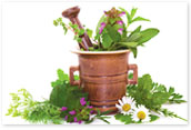About Ayurveda